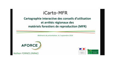 Webinaire Icarto
