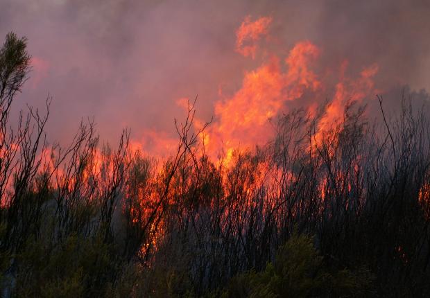 Atelier incendie