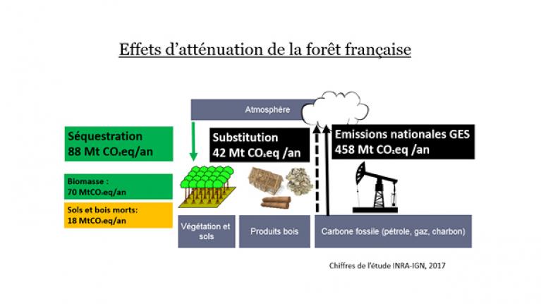 Schema attenuation