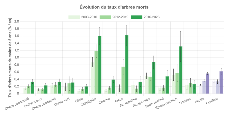 Evolution du taux d'arbres morts. © IGN, 2025.