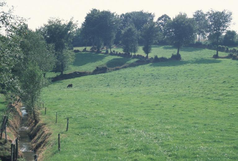 00006379_IDF © CNPF