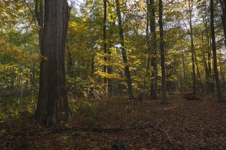 00021537_Sylvain Gaudin – CRPF CA © CNPF
