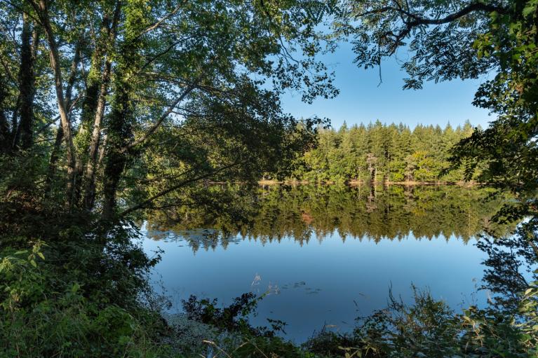 00060729_Florent Gallois © CNPF