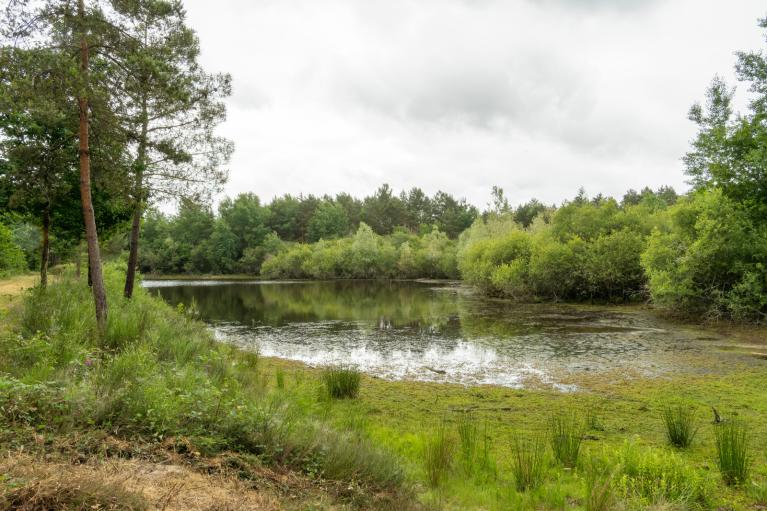 00062968_Florent Gallois © CNPF