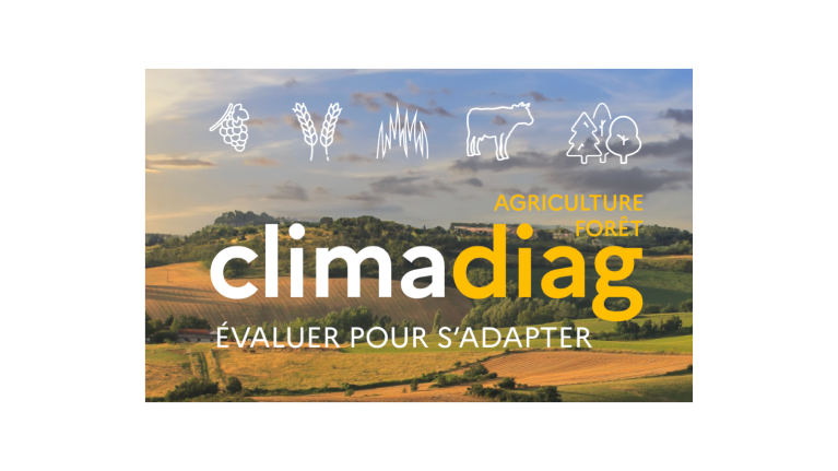 767x431_illu_1619T3 Frontpage