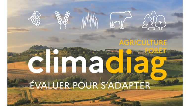 Climadiag Agriculture Forêt illustration