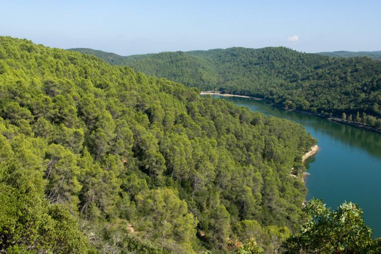 00001843_Olivier Martineau - CRPF PACA © CNPF