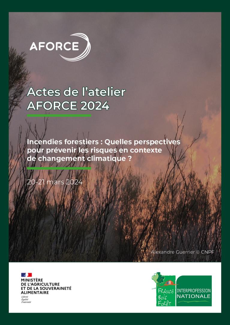 Visuel - Actes de l'atelier 2024